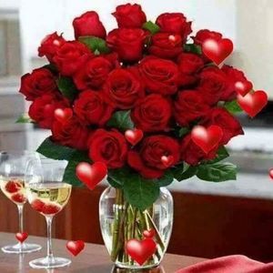 Meet your Posher, Bonnie